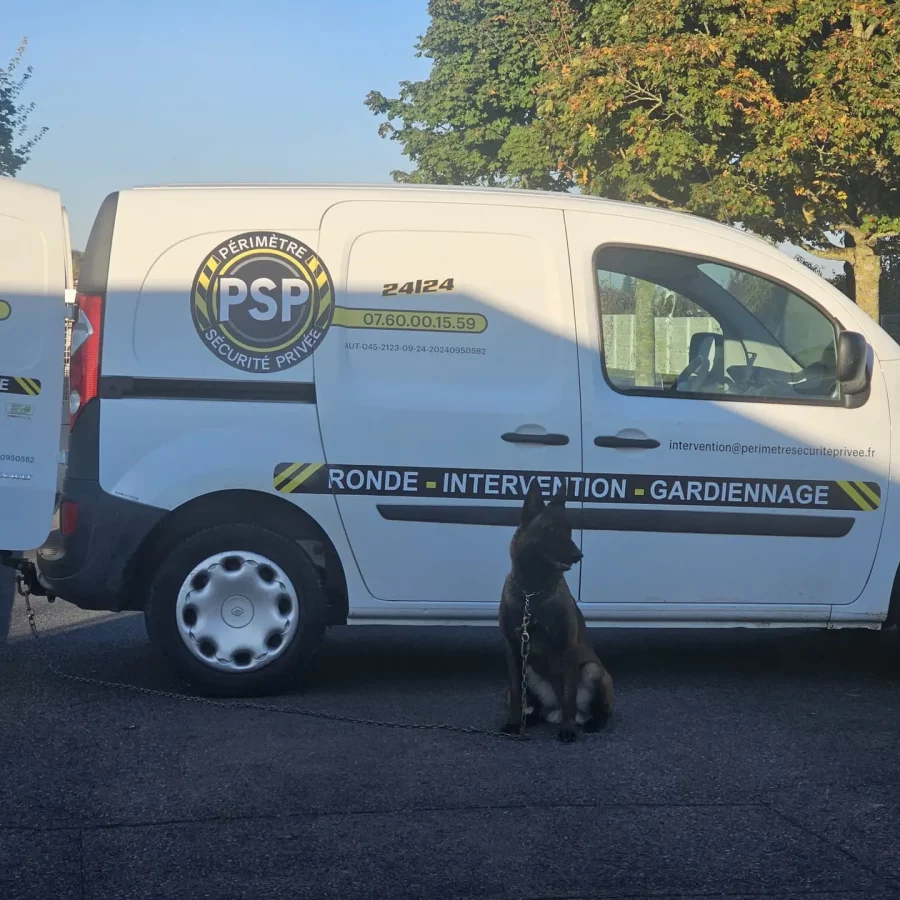 WhatsApp Image 2025-01-15 at 18.09.21